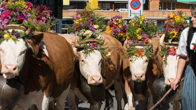 AlpKultur-Tage Lenk 2019