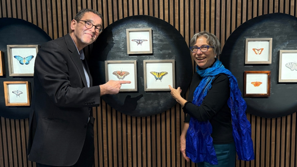 Papiliorama lädt zu «Flügelschlag und Fadentanz»