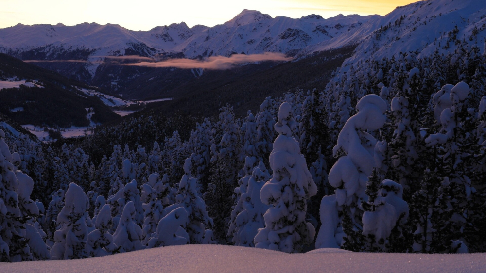 Ferienregionenen Engadin Scuol Zernez und Val Müstair schaffen Premiere