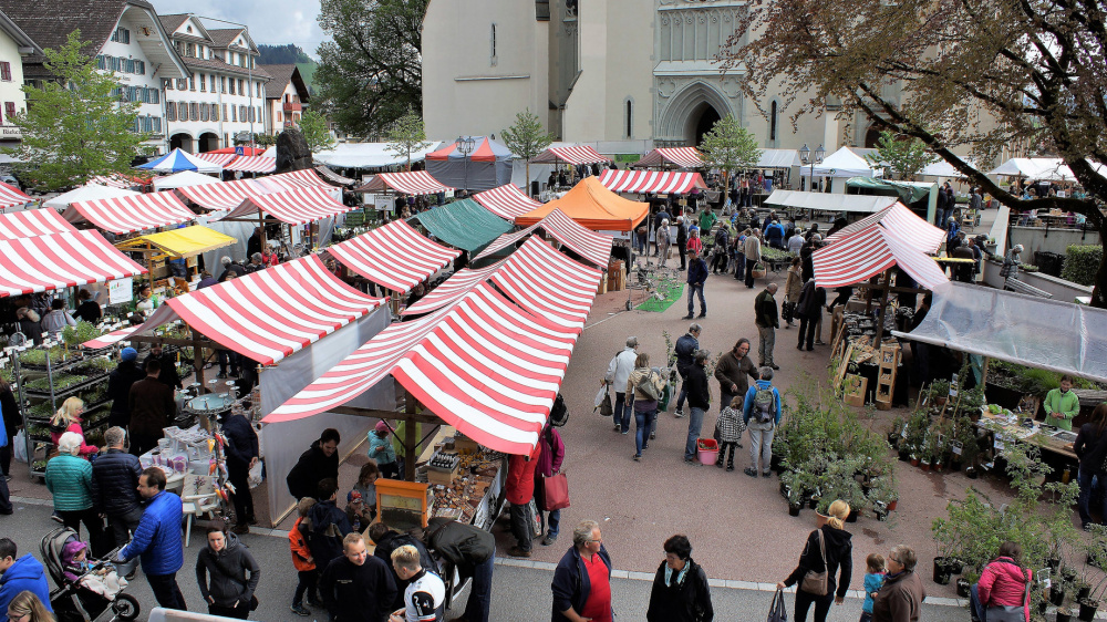 Geheimtipp für Marktliebhaber