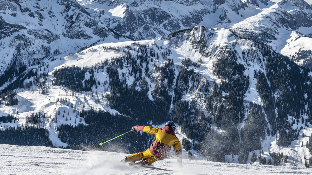 An der Lenk sind die Hasen los!