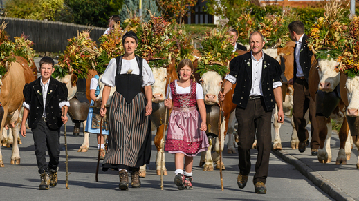 Absage AlpKultur-Tage Lenk