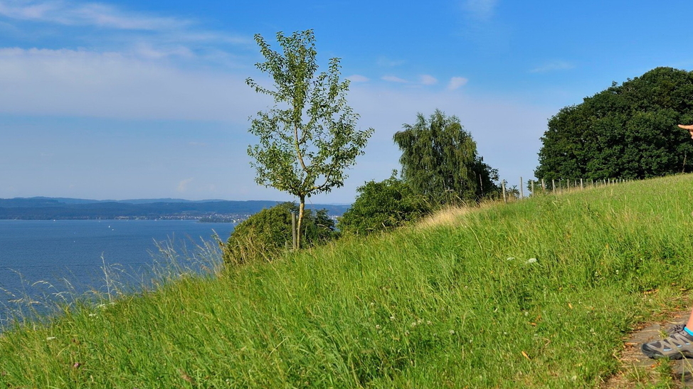 Thurgau lädt 100 Familien ein 