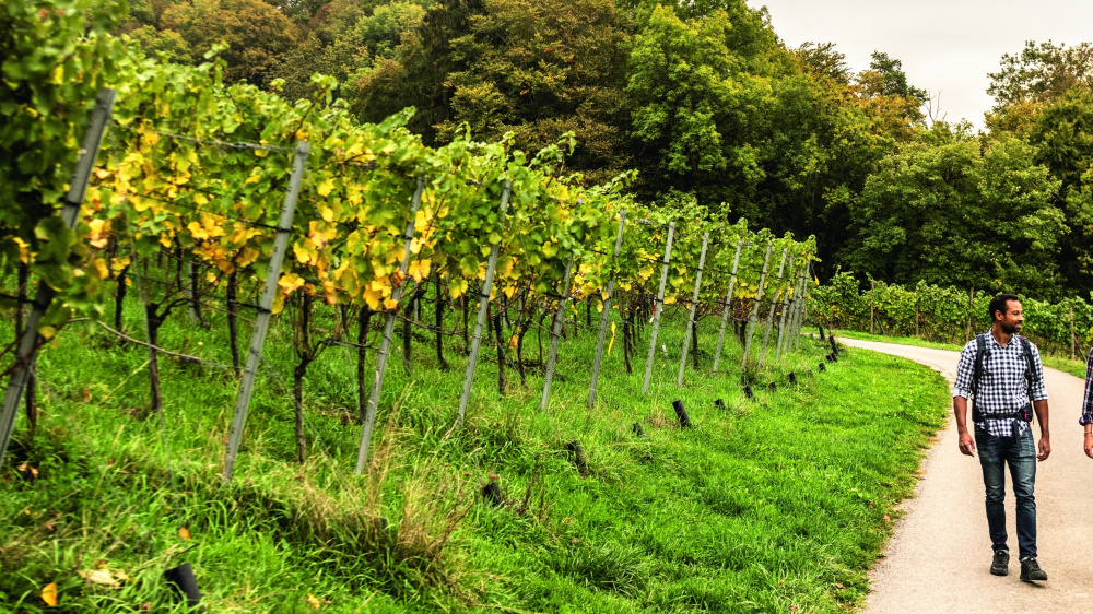 Herbstwandern im Thurgau