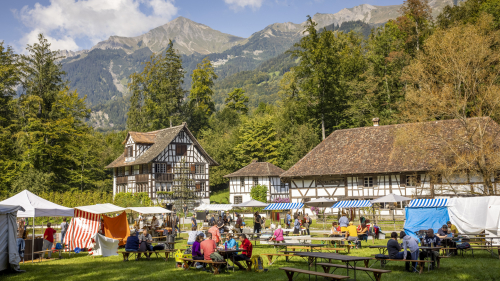Herbstliche Festtage auf dem Ballenberg