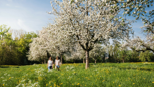Madame Bluescht ruft sanft: «Frühlingserwachen im Thurgau»