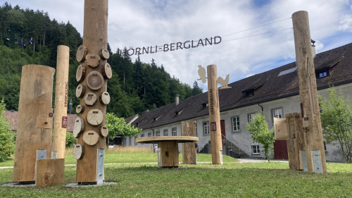 Eine Waldlichtung weist den Weg
