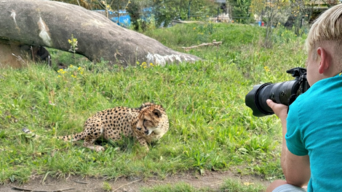 Knies Kinderzoo  bietet «Schlechtwetterprogramm»