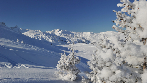 Neuheiten in der Ferienregion Lenk-Simmental