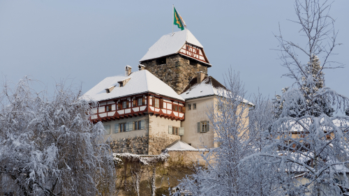 Weihnachtszauber im Schloss Frauenfeld