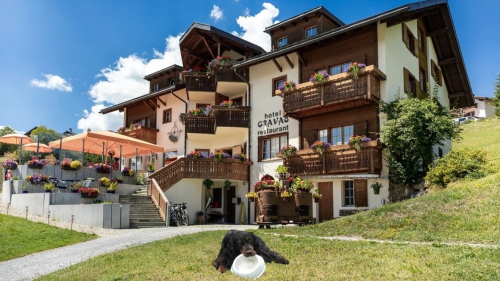 Zwei Schweizer Häuser in den Top 50 der hundefreundlichsten Hotels