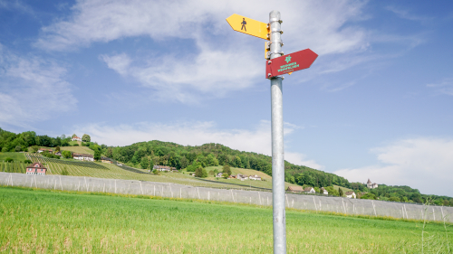 Rennen um Thurgauer Tourismuspreis 2025 ist eröffnet