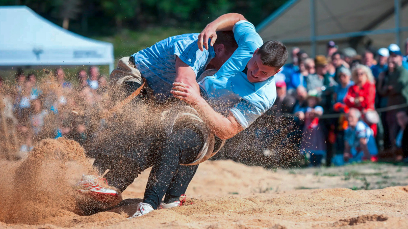 schwingen