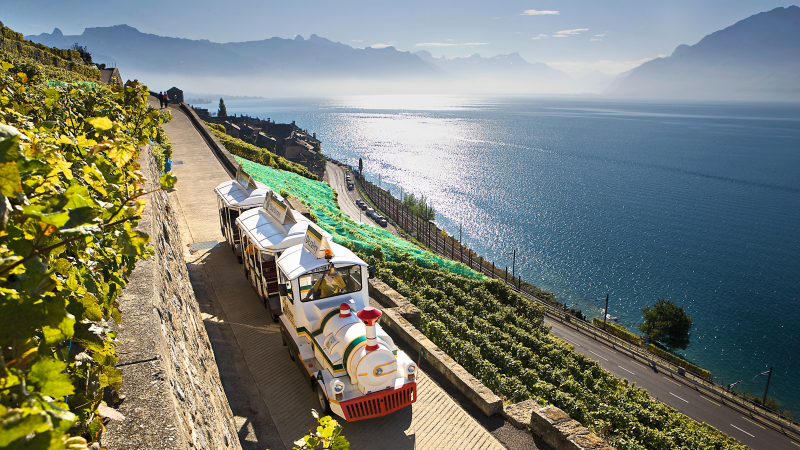 Der «Train des Vignes»
