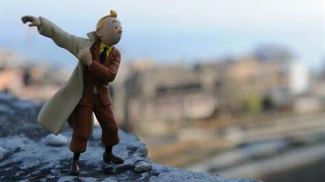 tintin tim
