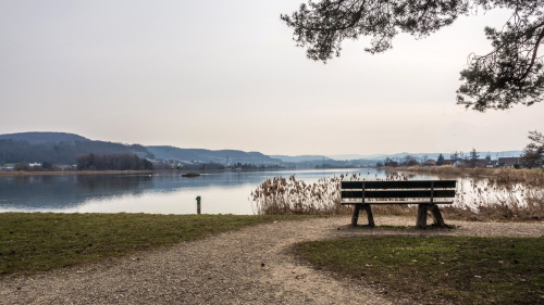 Vogelparadies Klingnauer Stausee