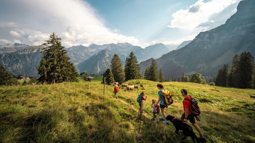 Im Zauberwald von Braunwald