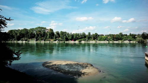 Rheinhalde – wertvoller Lebensraum für Flora und Fauna