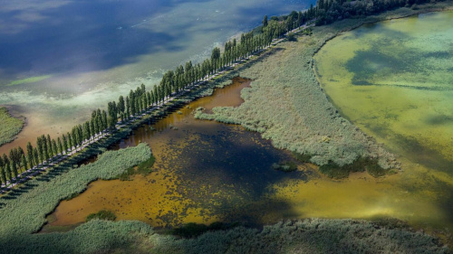 Wollmatinger Ried, das Naturjuwel am Bodensee