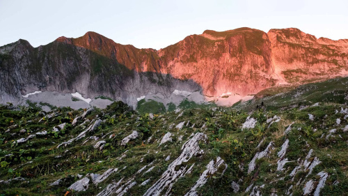 Vanil Noir – Wildnis und Biodiversität im Freiburger Alpenraum