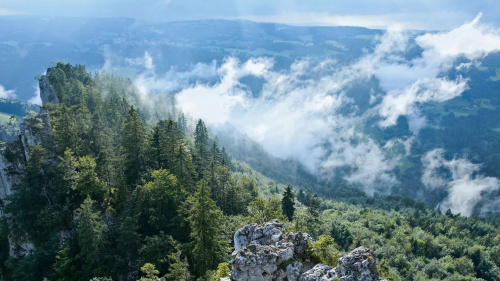 Parc du Doubs
