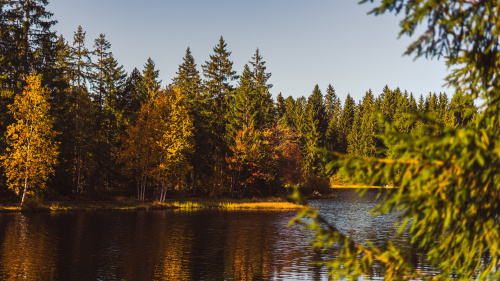 Moorsee Etang de la Gruère