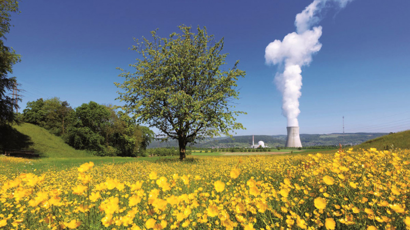 Kernkraftwerk Leibstadt