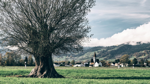 Ausland