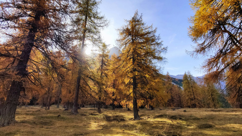 Graubünden