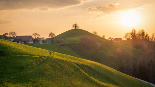 Zürich / Zürcher Oberland